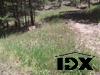 4499 S BLUE SPRUCE RD, EVERGREEN CO 80439